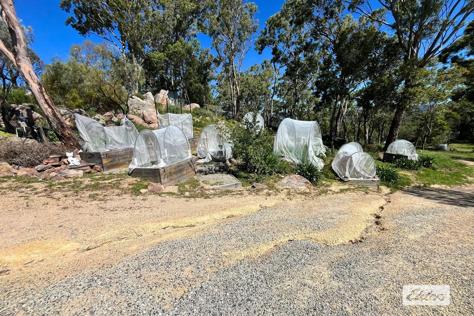 Image 29