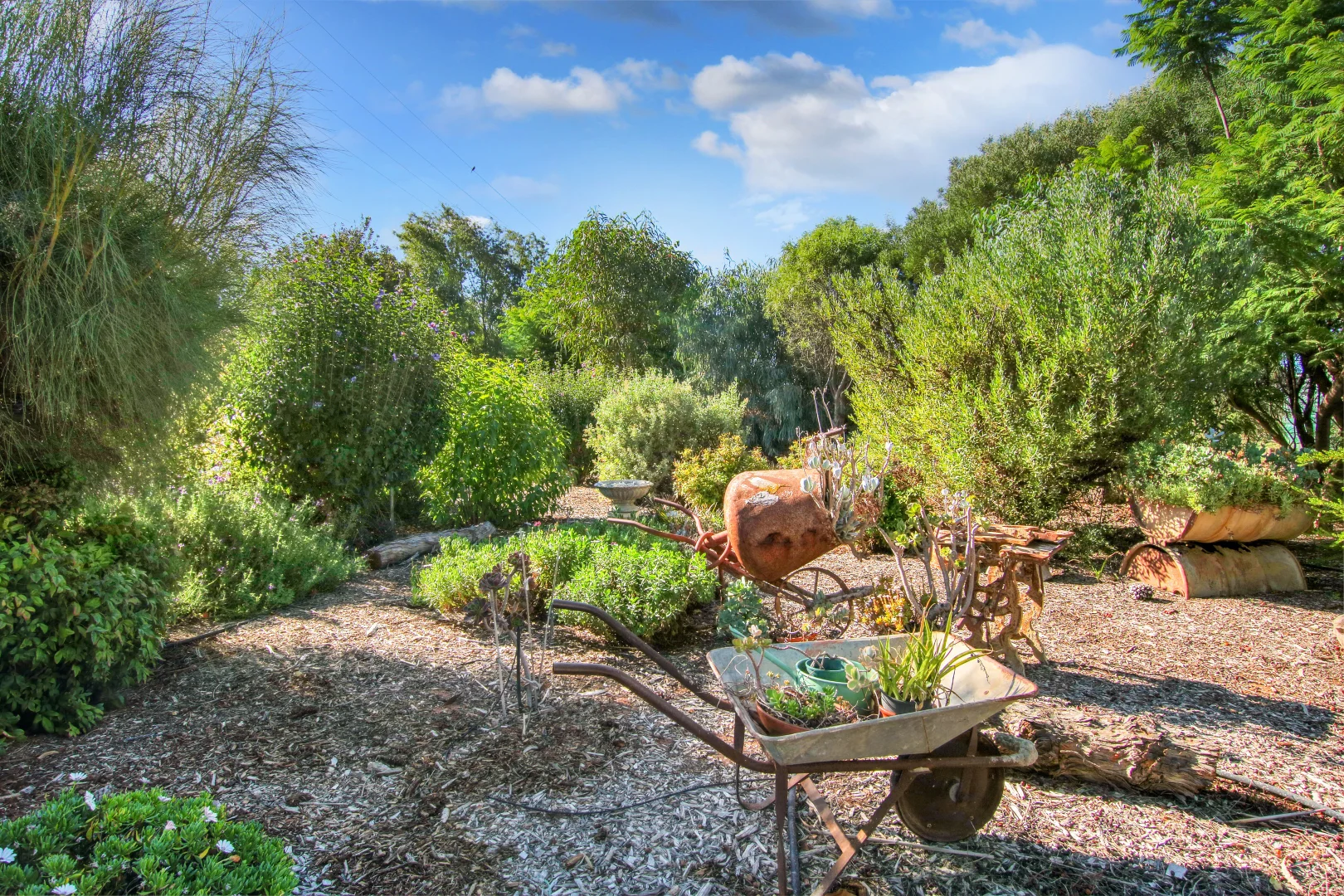 Additional image 25 of 131 Old Blanchetown Road, Waikerie SA 5330