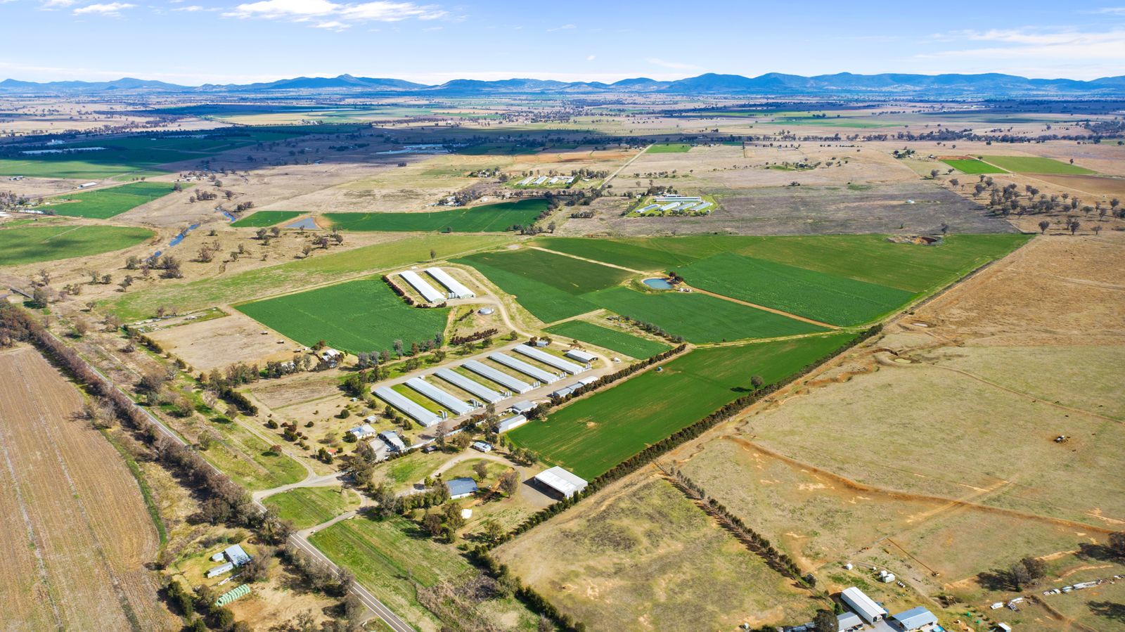961963 Wallamore Road, Tamworth NSW 2340 Livestock Property for Sale