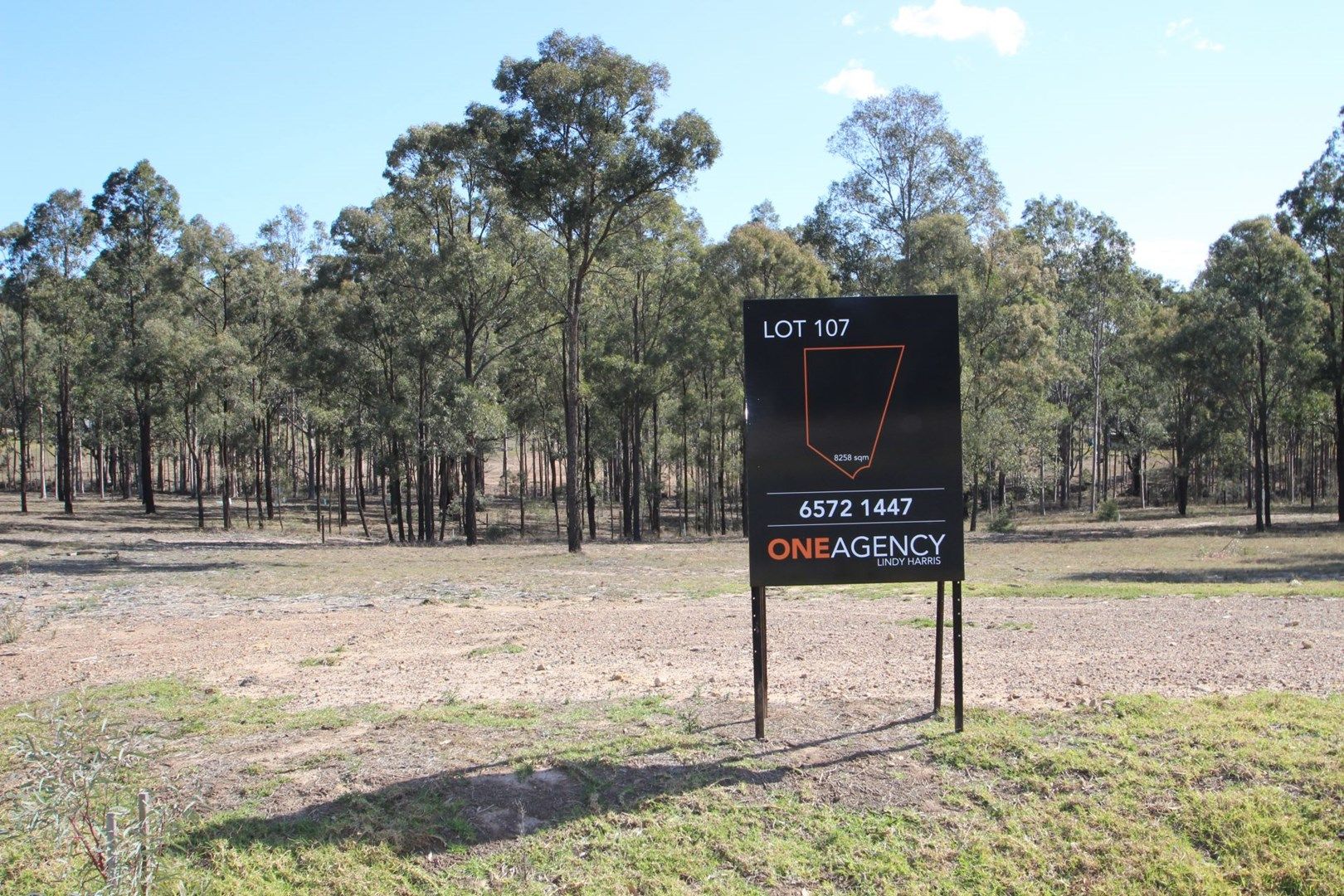 Lot 107 Emblem Circuit, Singleton NSW 2330, Image 0