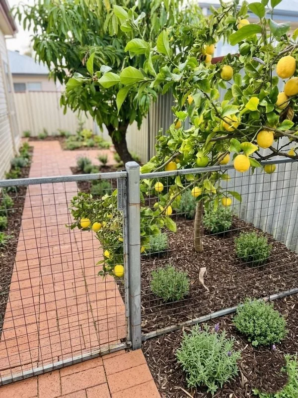 Additional image 12 of 9 Matheson road, Applecross WA 6153