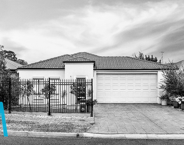 8A Tarpeena Avenue, Windsor Gardens SA 5087