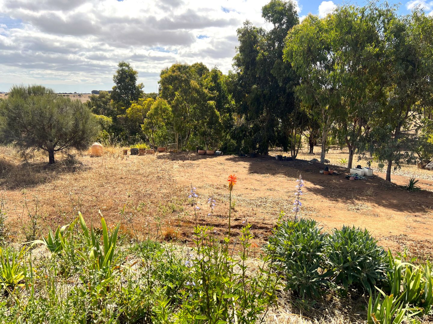 45 SHEARWATER DRIVE, Tiatukia SA 5607 Vacant Land for Sale Domain