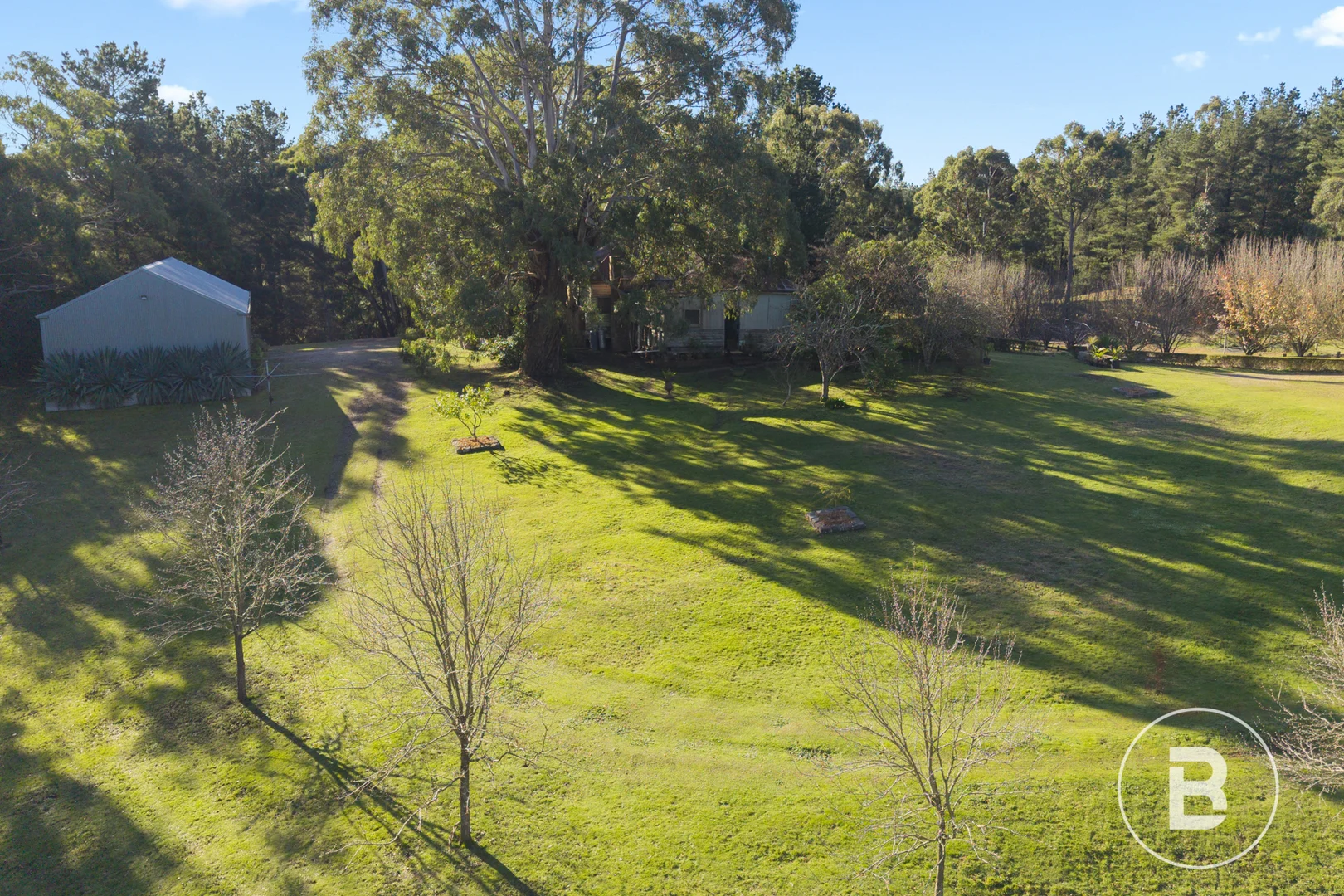 Image 13