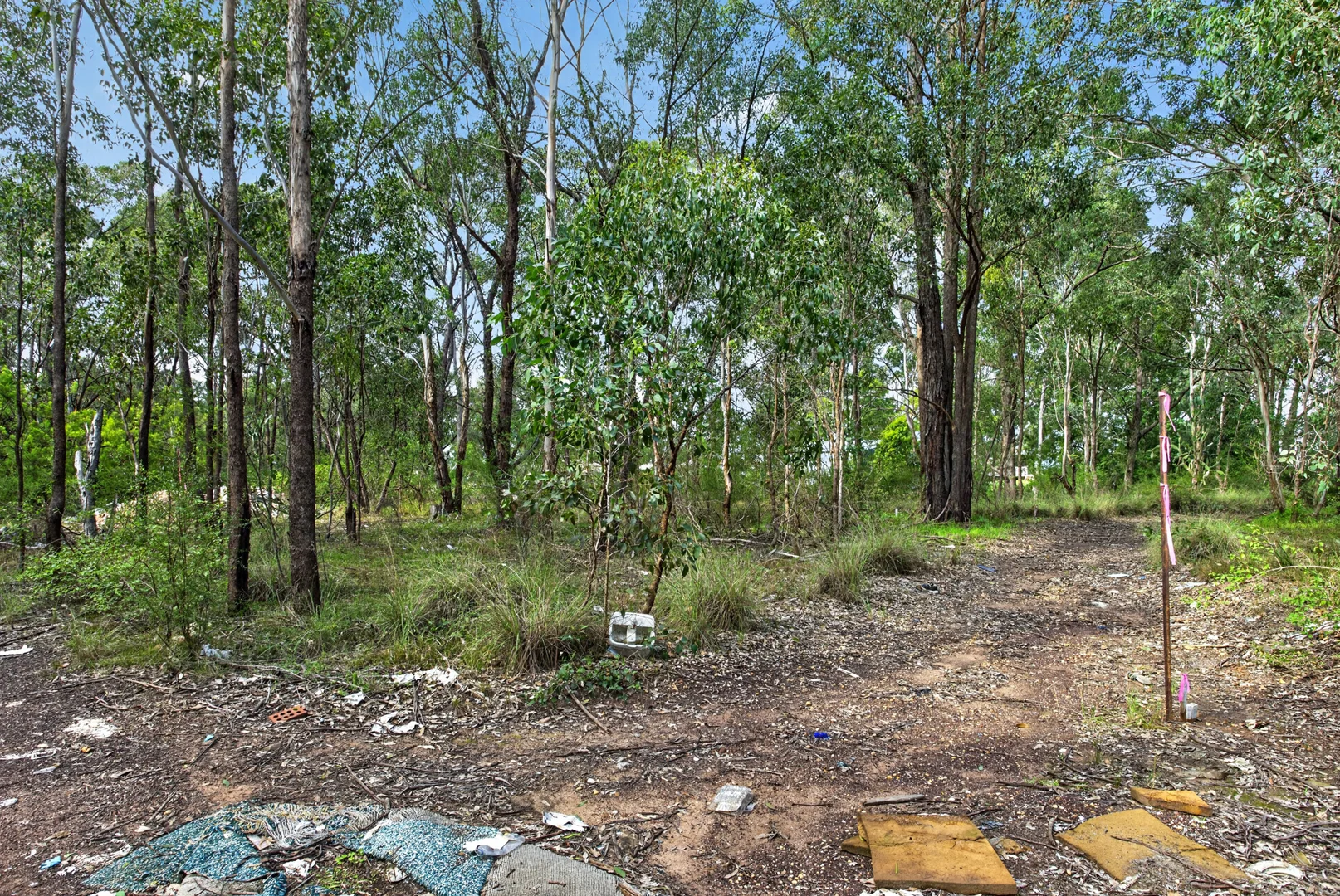 Image 8