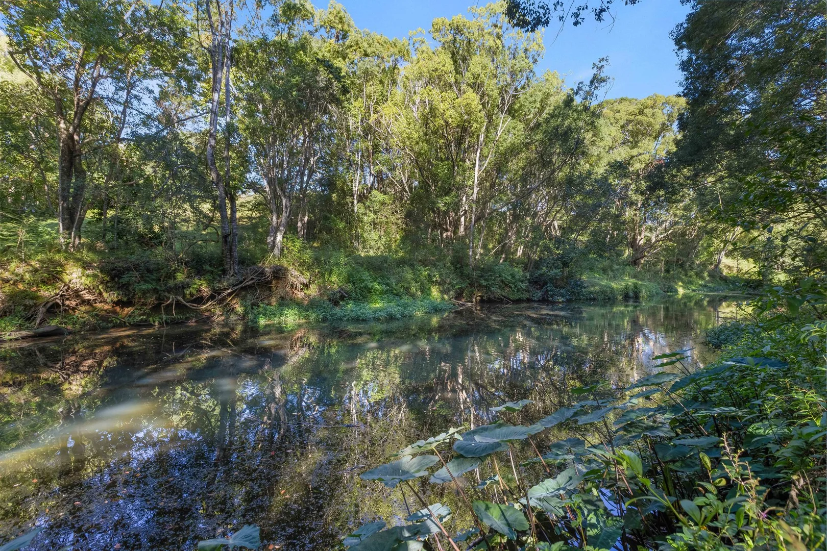 Additional image 38 of 241 Burringbar Road, Burringbar NSW 2483