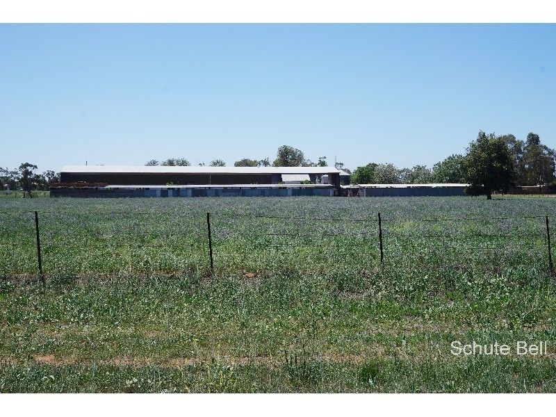 143 Webb's Siding Rd, Narromine NSW 2821, Image 2