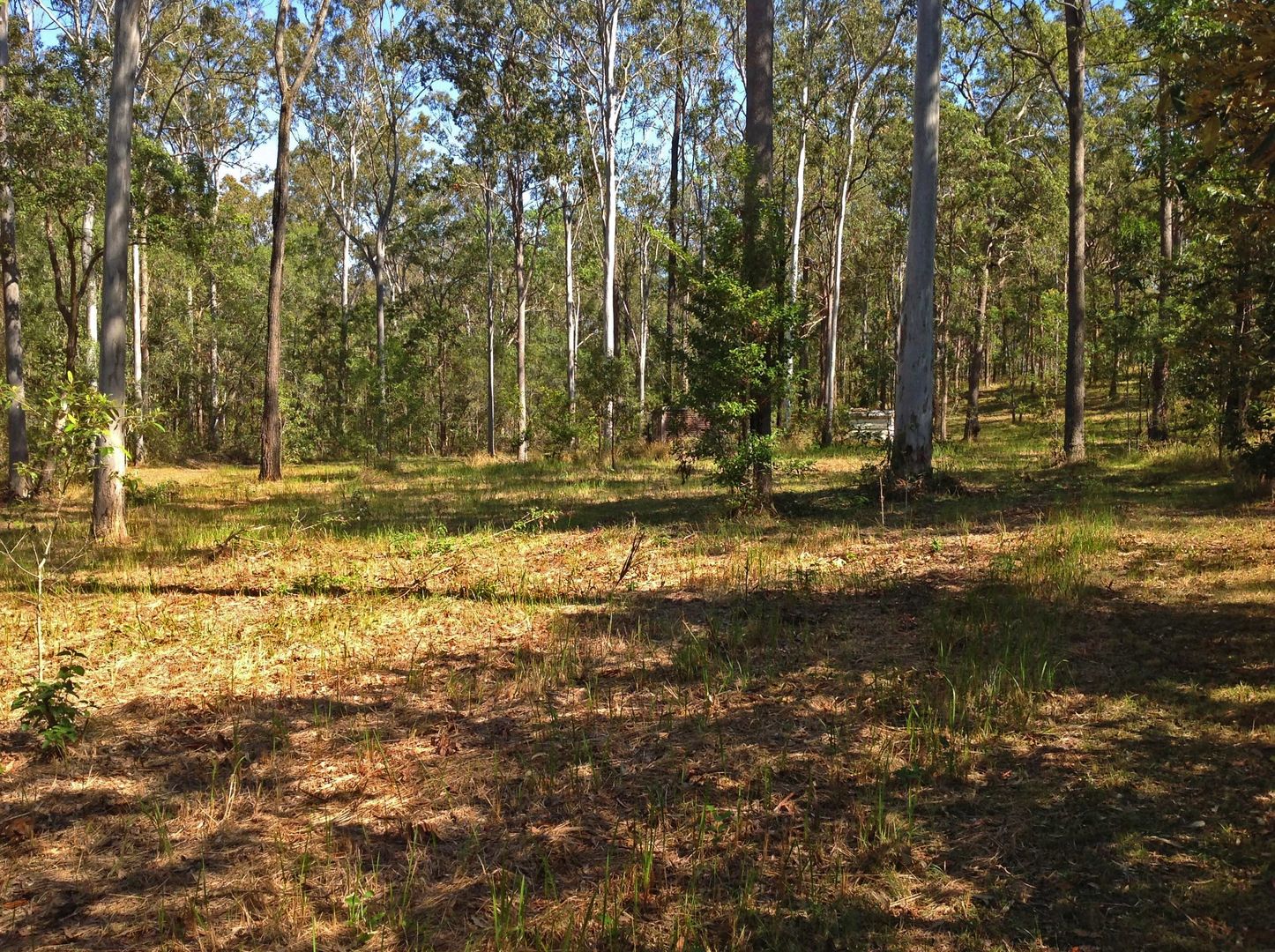 Lot 311 Faine Road, Bauple QLD 4650, Image 2