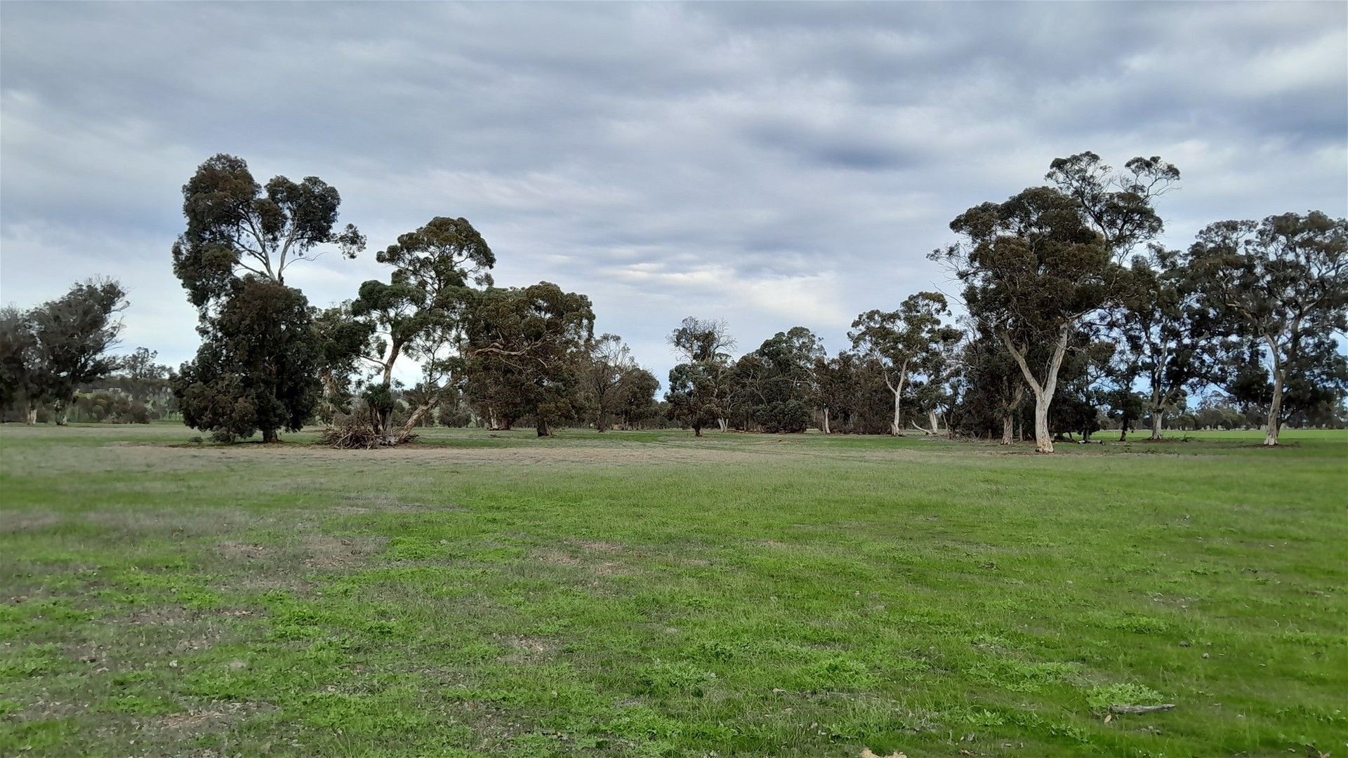 Lot 715/715 Mattiske Road, Katanning WA 6317, Image 2