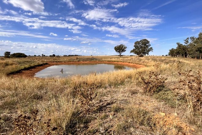 Picture of Lot 1/Lot 1 "Brigadoon" Wirrinya Road, FORBES NSW 2871