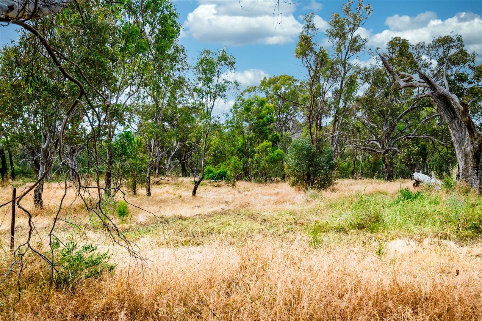 Lot 1 Racecourse Street, Euroa VIC 3666, Image 1