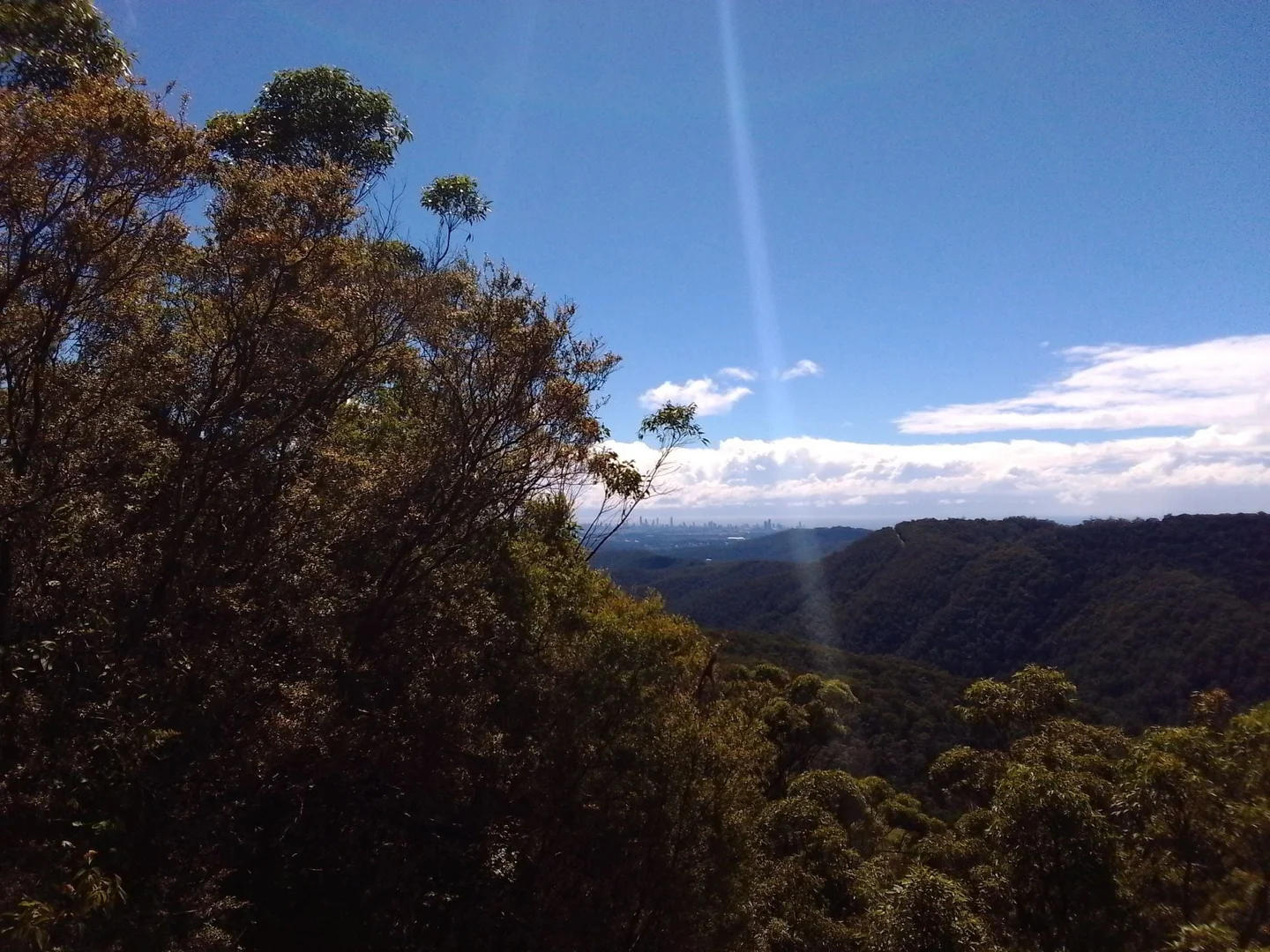 Additional image 12 of 2195 Springbrook Road, Springbrook QLD 4213