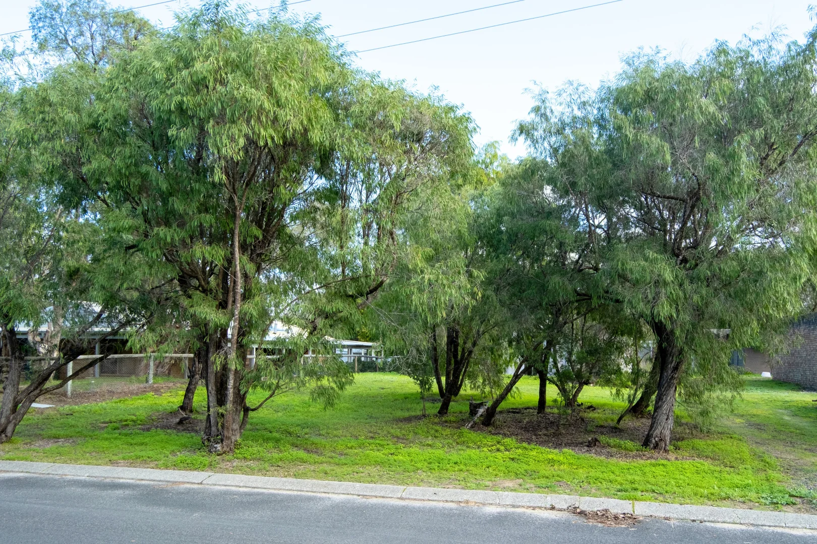 Image 18