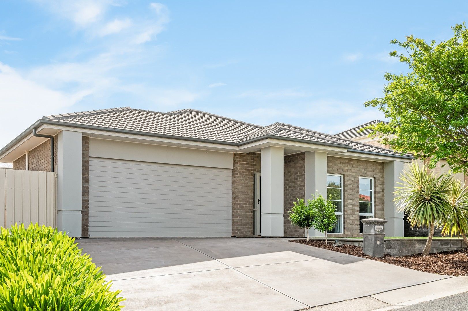 20 Swallow Avenue, Modbury Heights SA 5092, Image 0