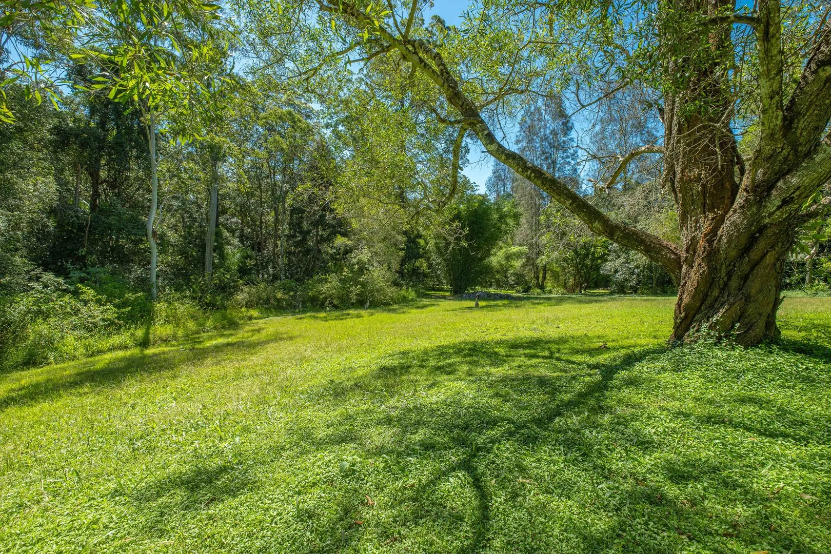 Additional image 20 of Conondale QLD 4552