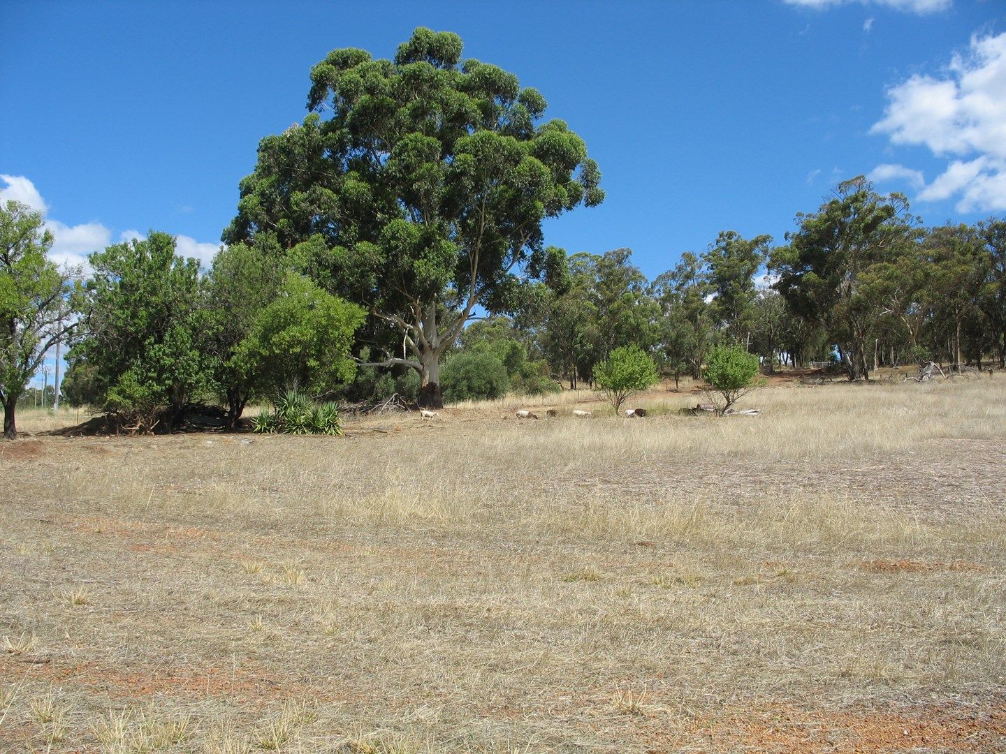 Lot 202 Werribee Road, Wundowie WA 6560, Image 0