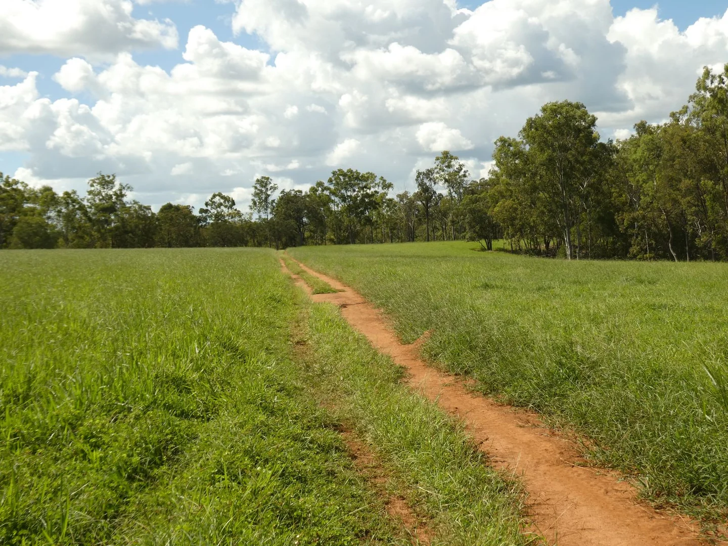 Additional image 12 of 510 Promisedland Road, Promisedland QLD 4660