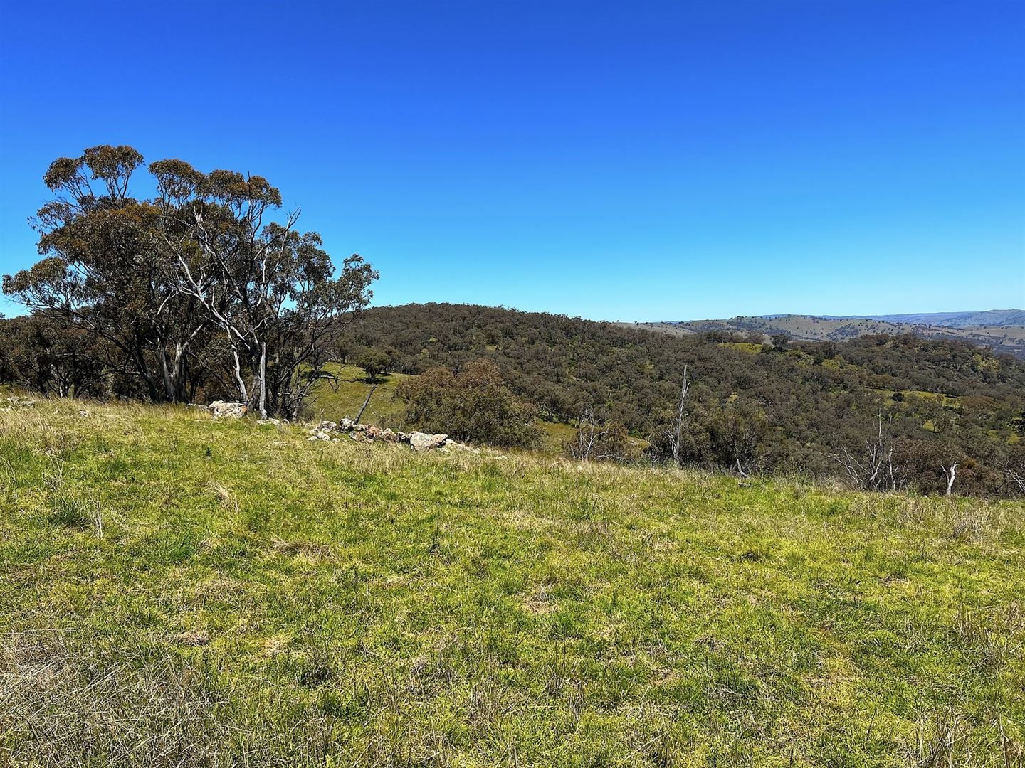 Lot 202/174A Beechworth Road, Hargraves NSW 2850, Image 2