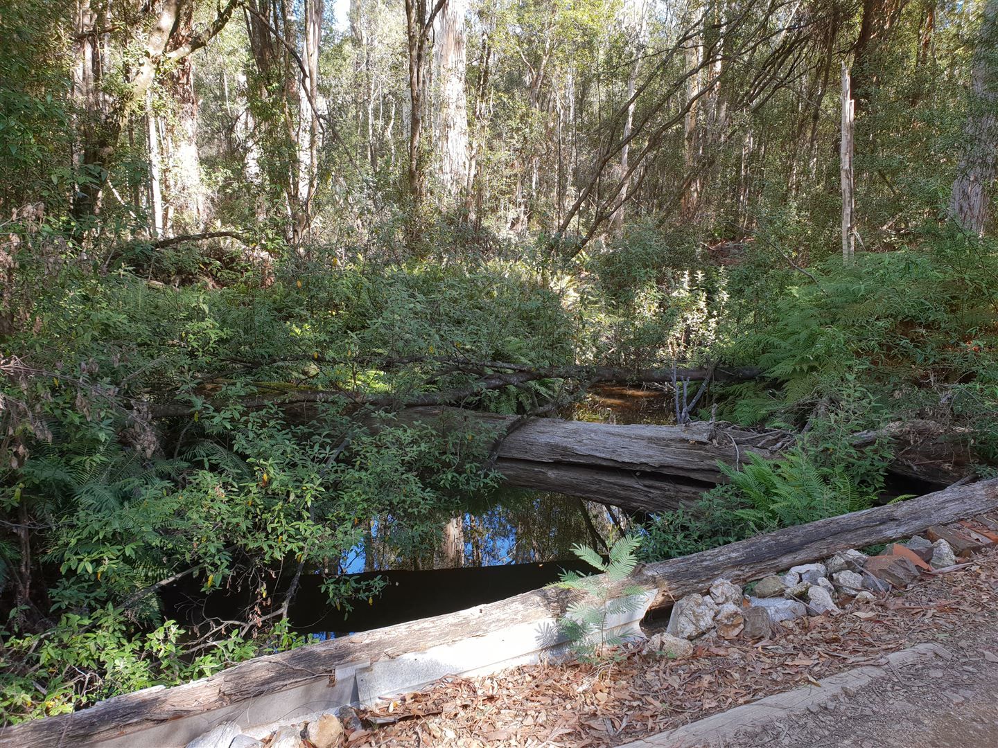 Lot 1 Hinds Road, Beaconsfield TAS 7270, Image 0