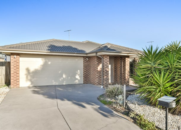 19 Macfarlane Street, Marshall VIC 3216