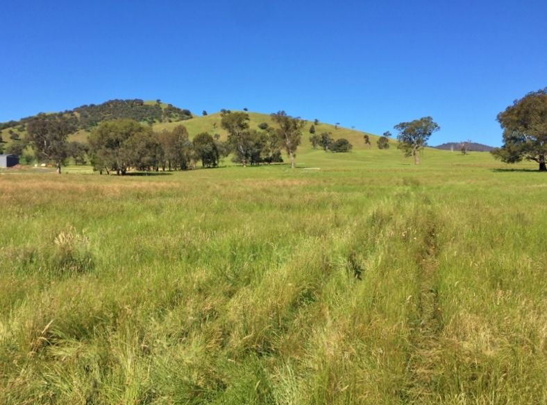 Huon  Bend - Murray Valley Highway, Huon VIC 3695, Image 1