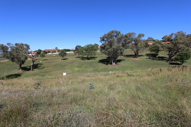 Picture of 8A Red Gum Place, WINDRADYNE NSW 2795