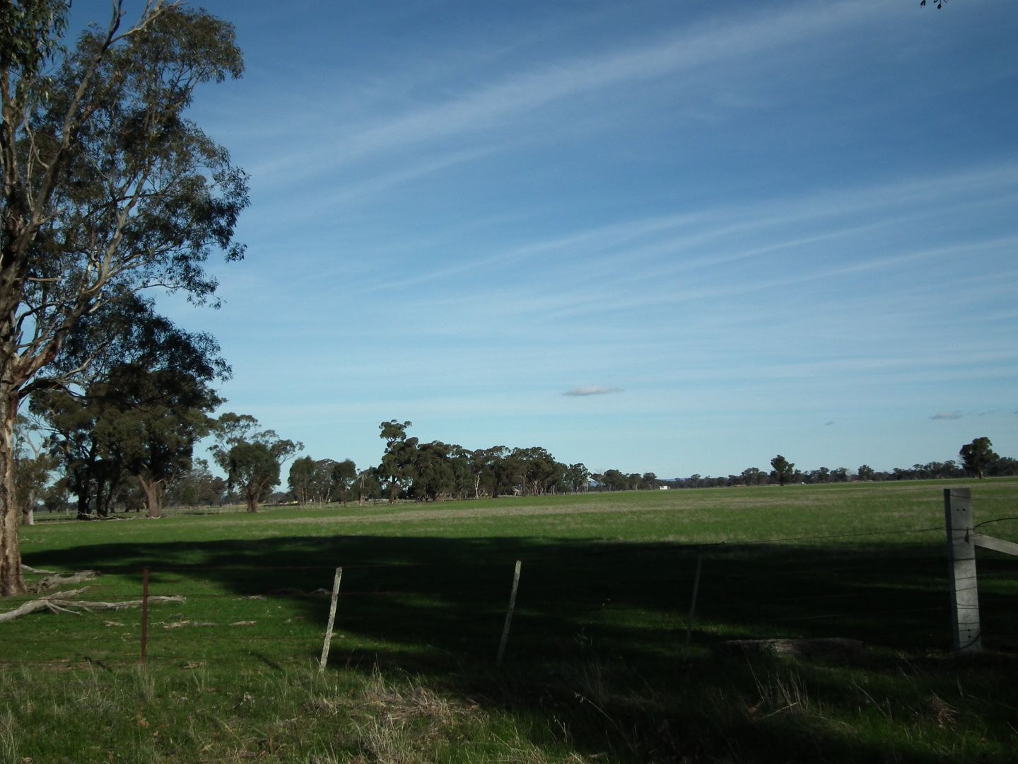 Lot 1 Daldys Road, Arcadia VIC 3631, Image 2