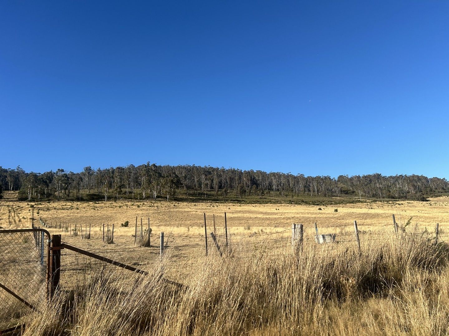 Part of 69 & 187 St Peters Terrace, Oatlands TAS 7120, Image 0