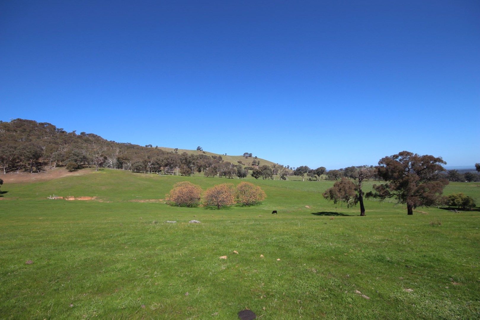 Diffey Road, Everton VIC 3678, Image 0