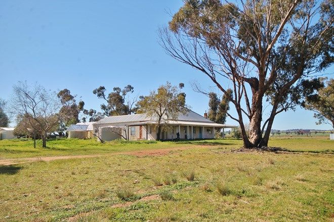 Picture of 1600 Tubbul Road, TUBBUL NSW 2594