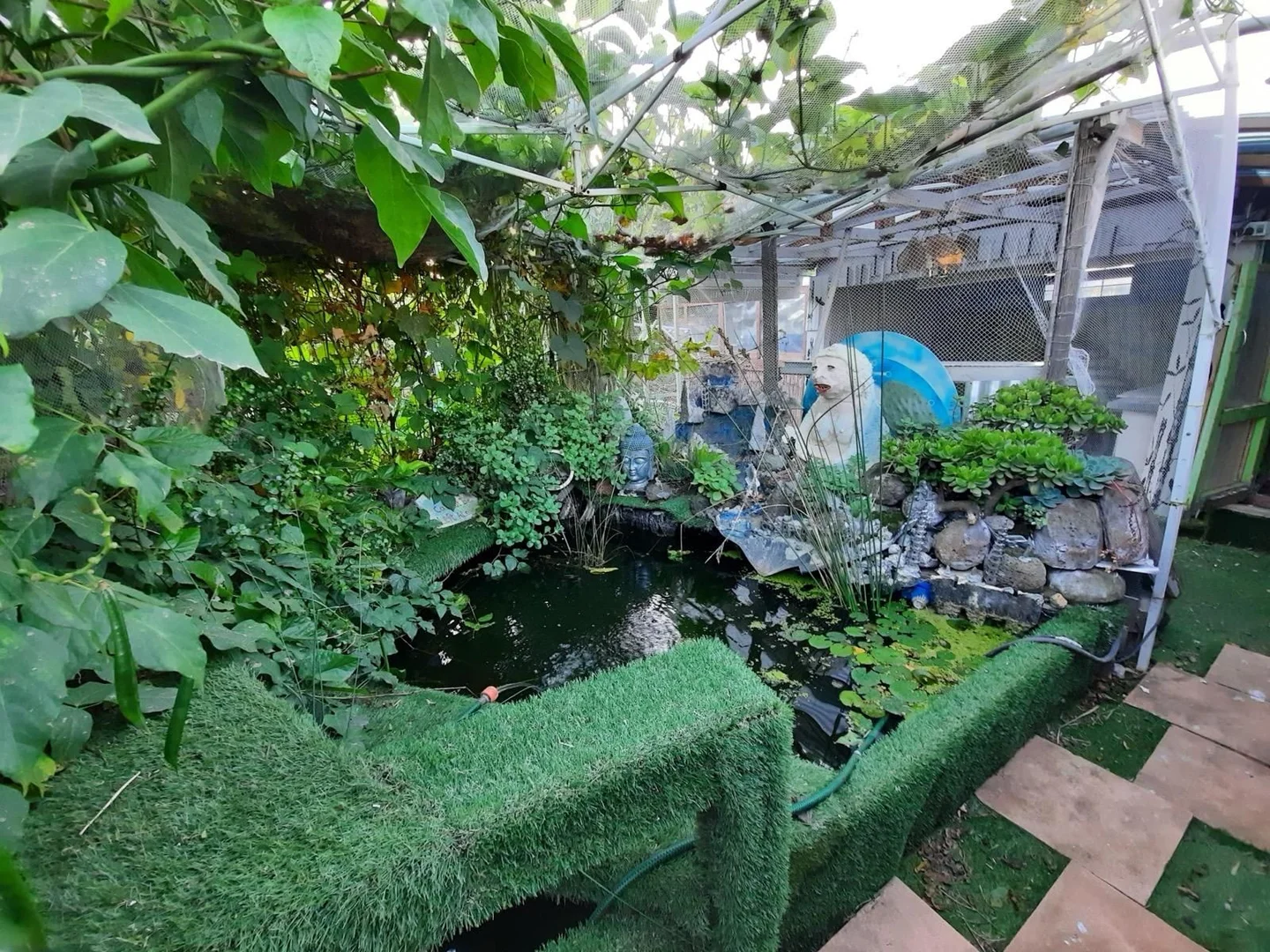 Image 17