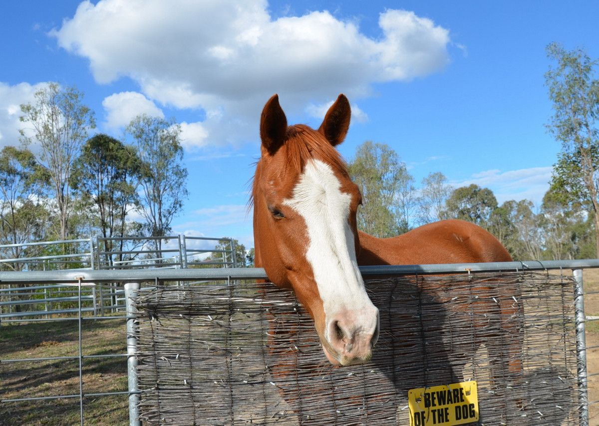 Lot 2/173-187 Stephens Place, Kooralbyn QLD 4285, Image 2