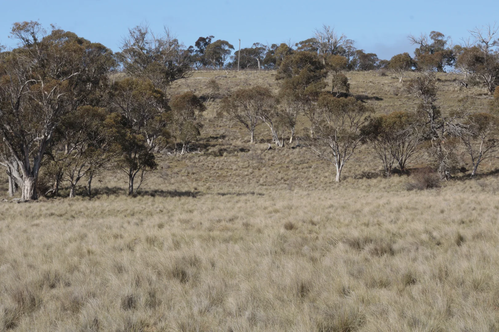 Image 18