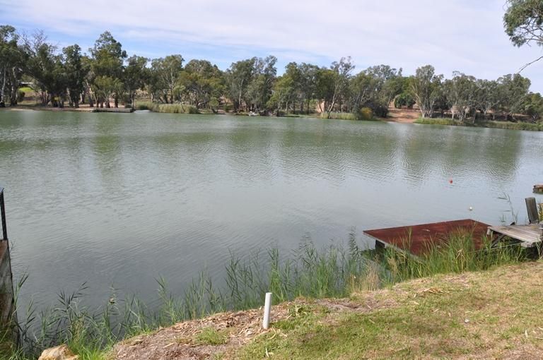 Lot 165 Scotts Creek, Morgan SA 5320, Image 1