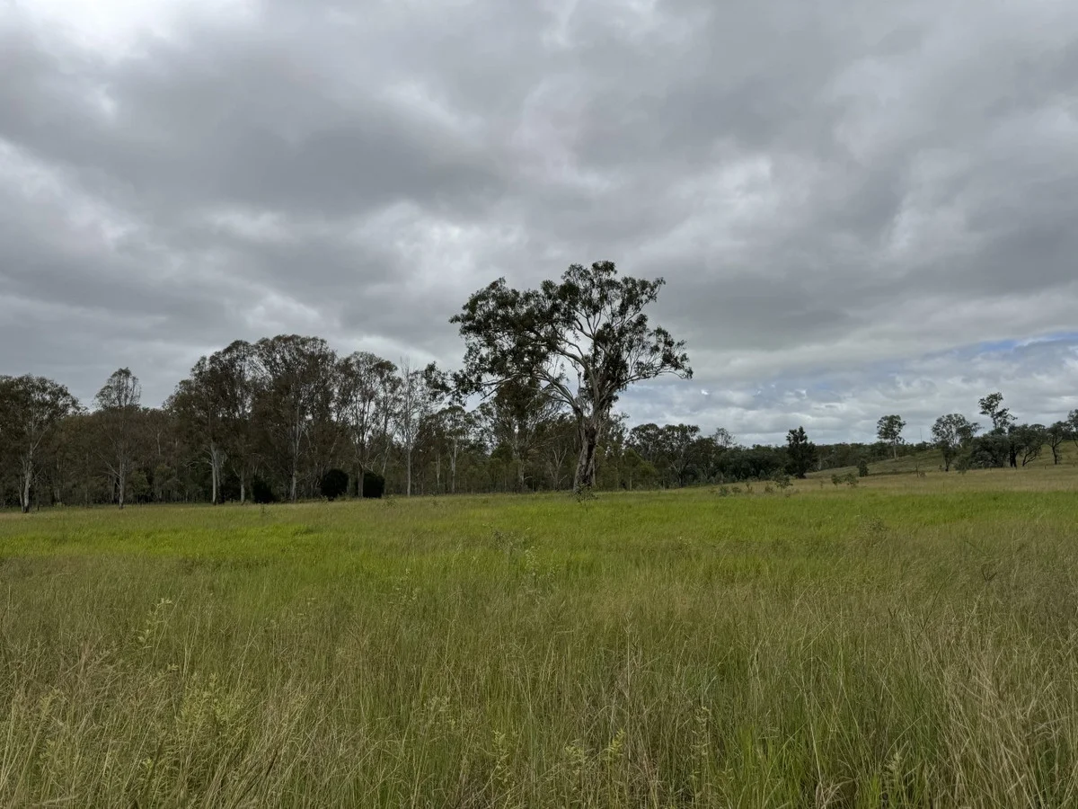 Additional image 45 of 1609 Monal Road, Monto QLD 4630