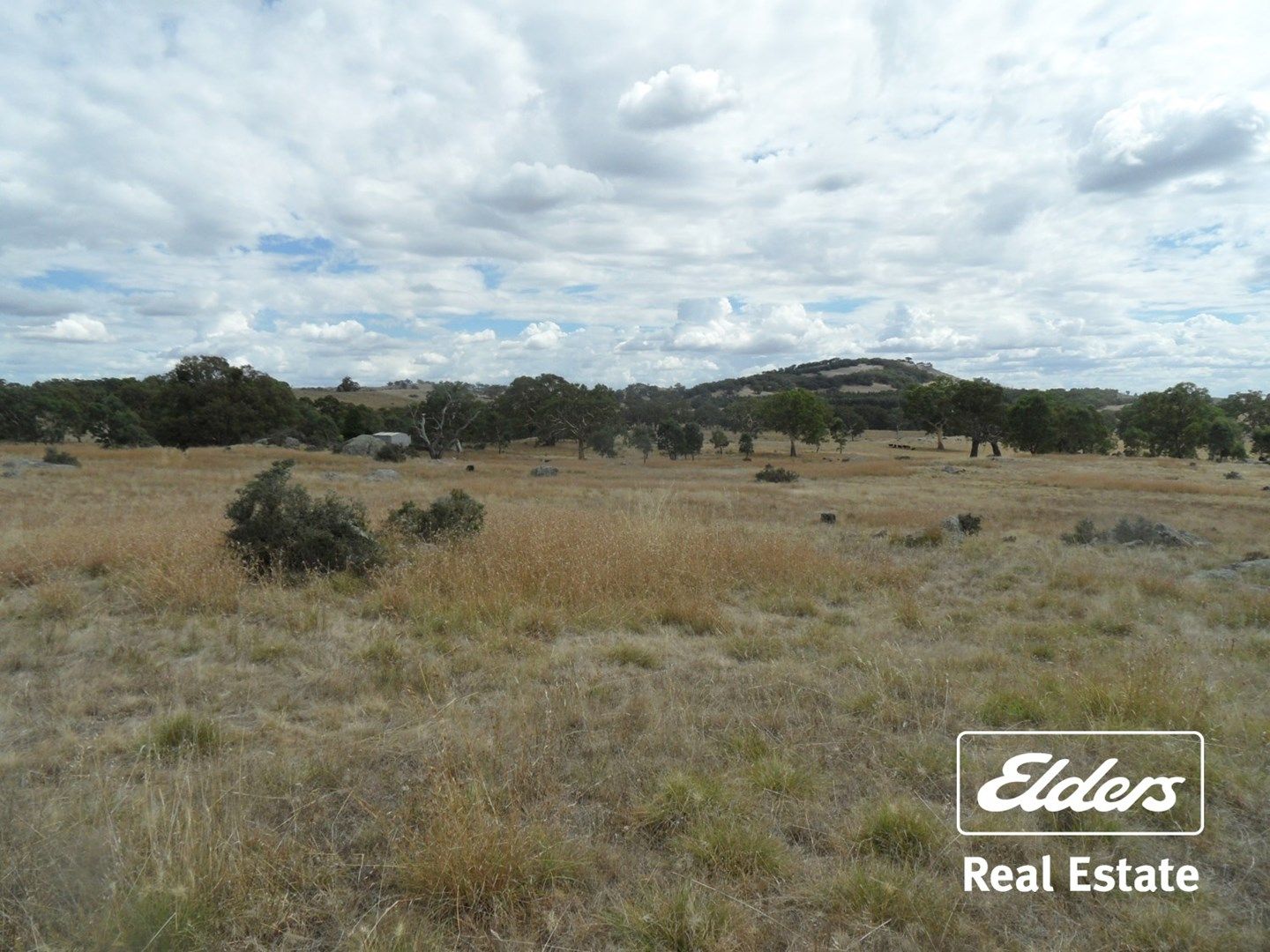 Lot 6 (847) Trial Hill Road, Pewsey Vale SA 5351, Image 0