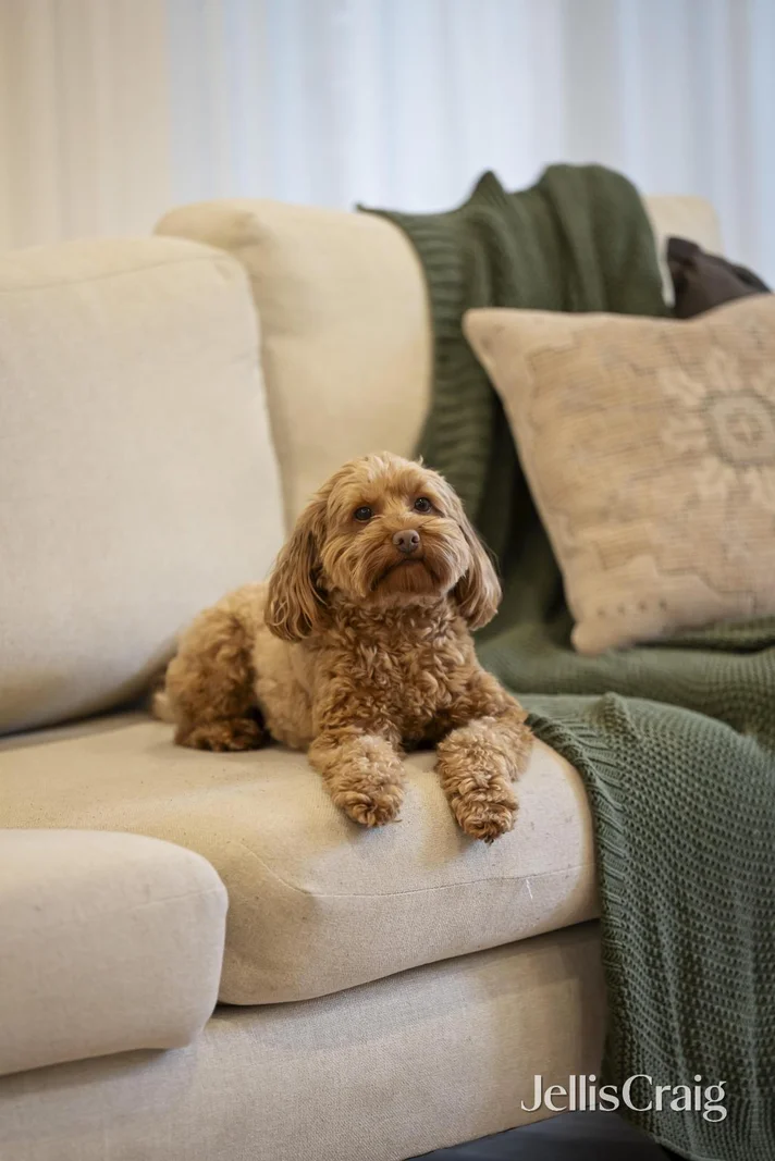 Additional image 4 of 3/3 Garden Street, Ringwood VIC 3134