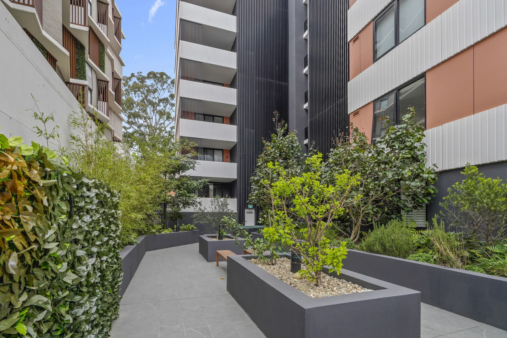 Additional image 10 of 46/13-15 Jordan Street, Gladesville NSW 2111