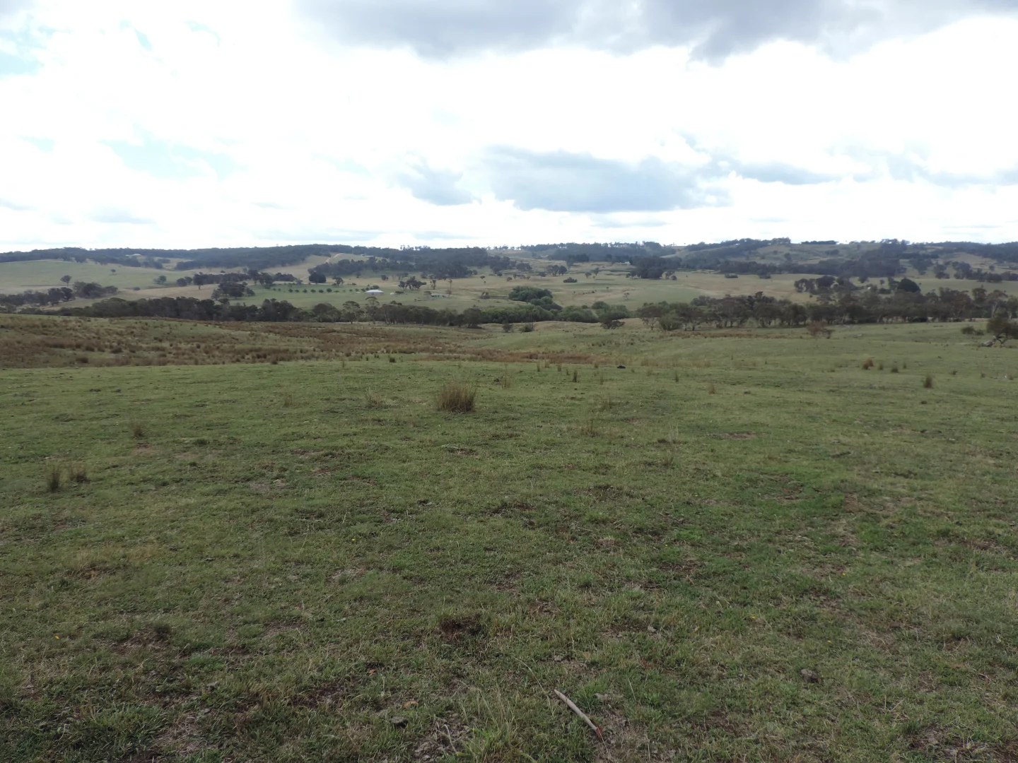 Image 15