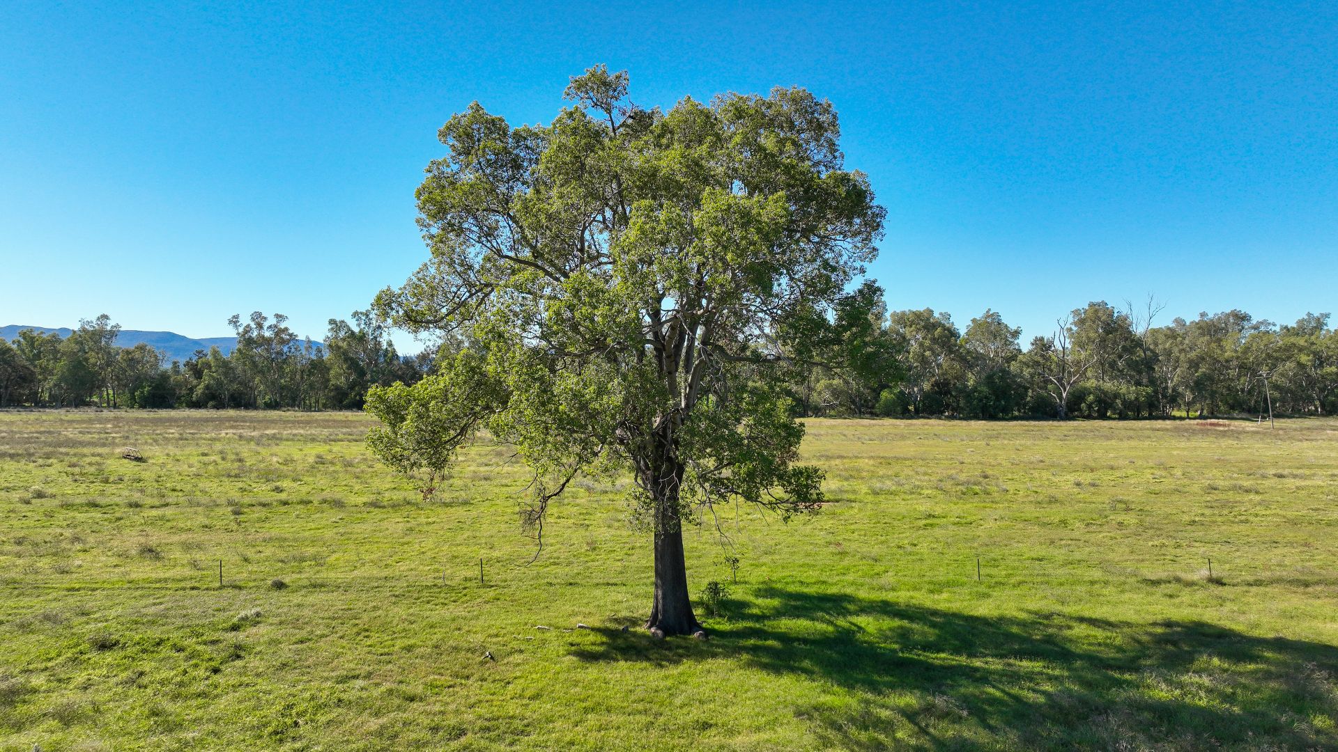 340 Black Mountain Creek Road, Boggabri NSW 2382, Image 1