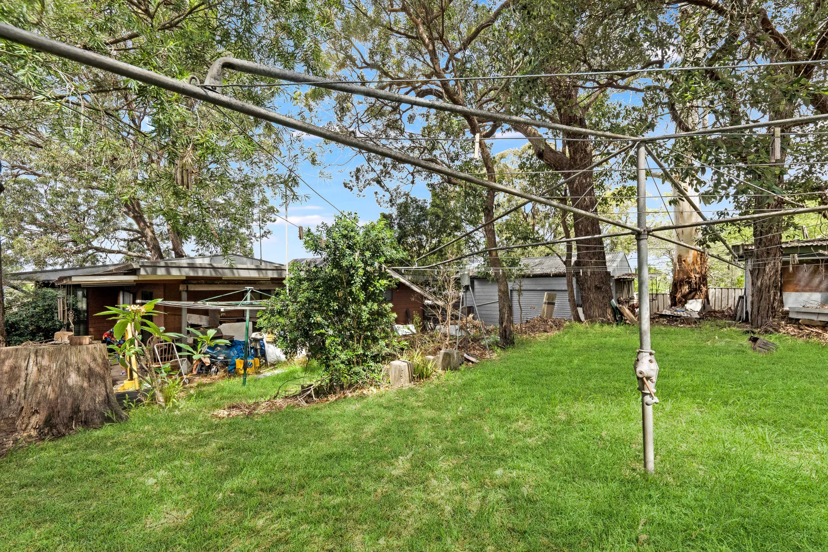 Image 10