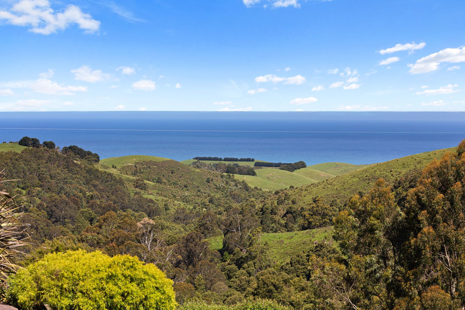 20 Biddles Road, Apollo Bay VIC 3233, Image 2