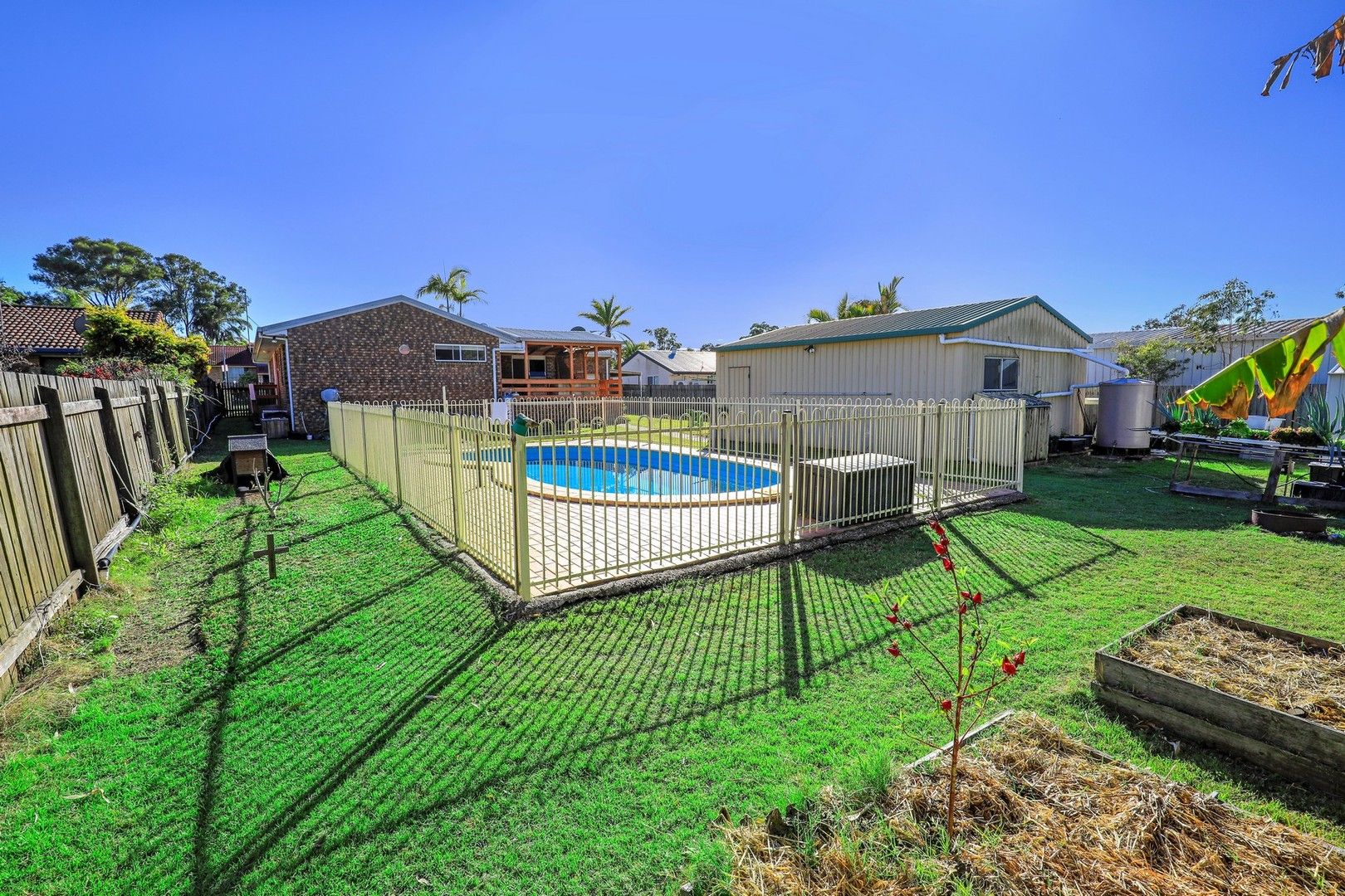 45 Honeysuckle Avenue, Kawungan QLD 4655, Image 0