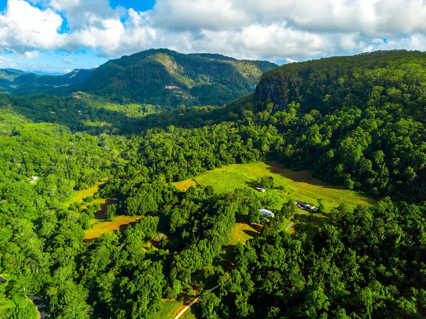 Additional image 13 of 1028 Wilsons Creek Road, Wilsons Creek NSW 2482