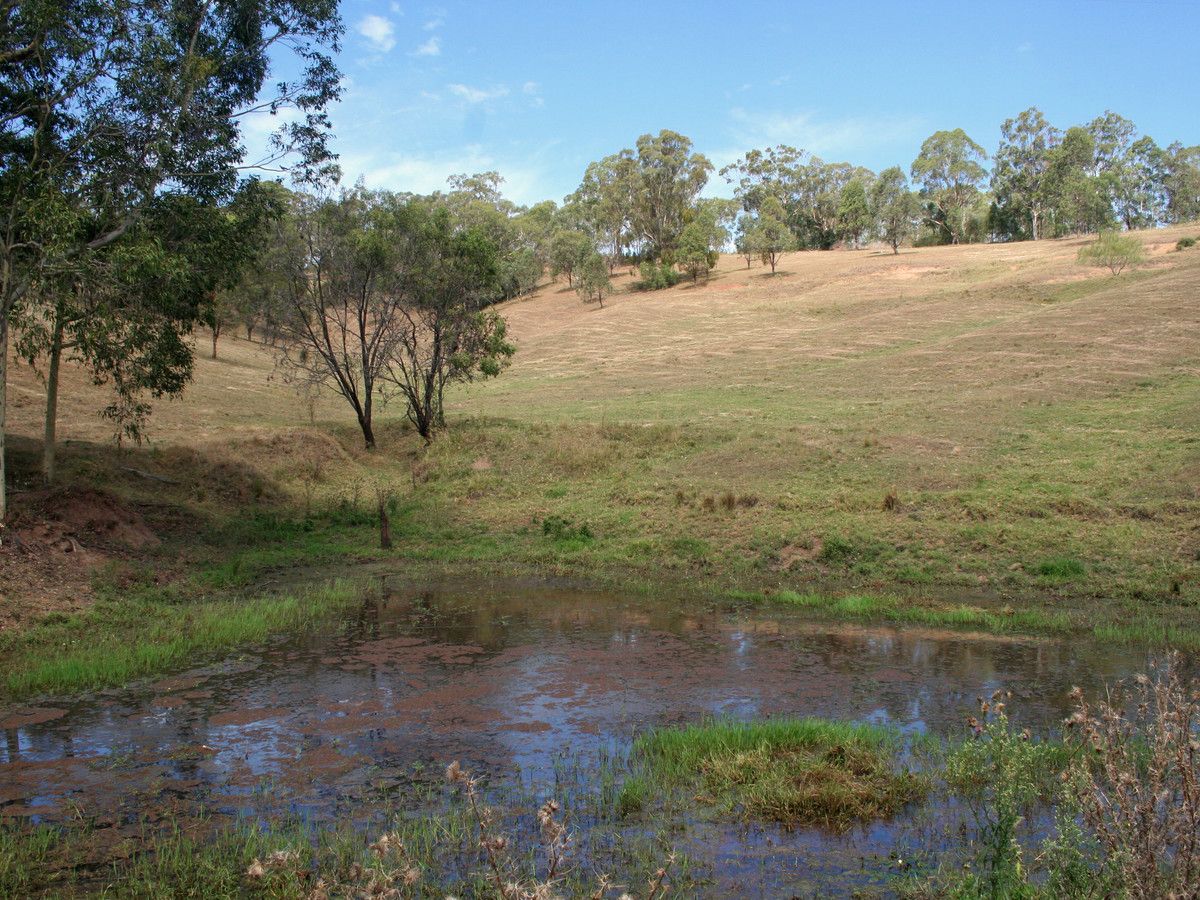 L320 Marrowbone Road, Pokolbin NSW 2320, Image 1