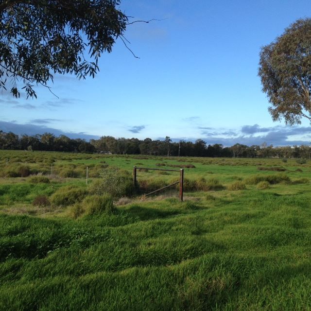 Warren NSW 2824 vacant land for Sale, 89,000 2014125770 Domain