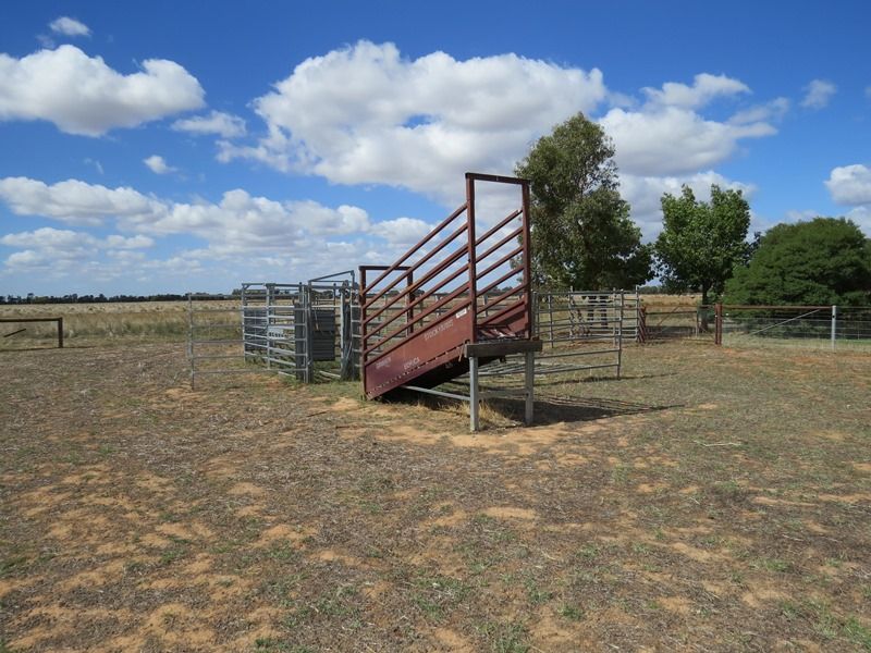 "Jonree" Flanagans Lane, Deniliquin NSW 2710, Image 2