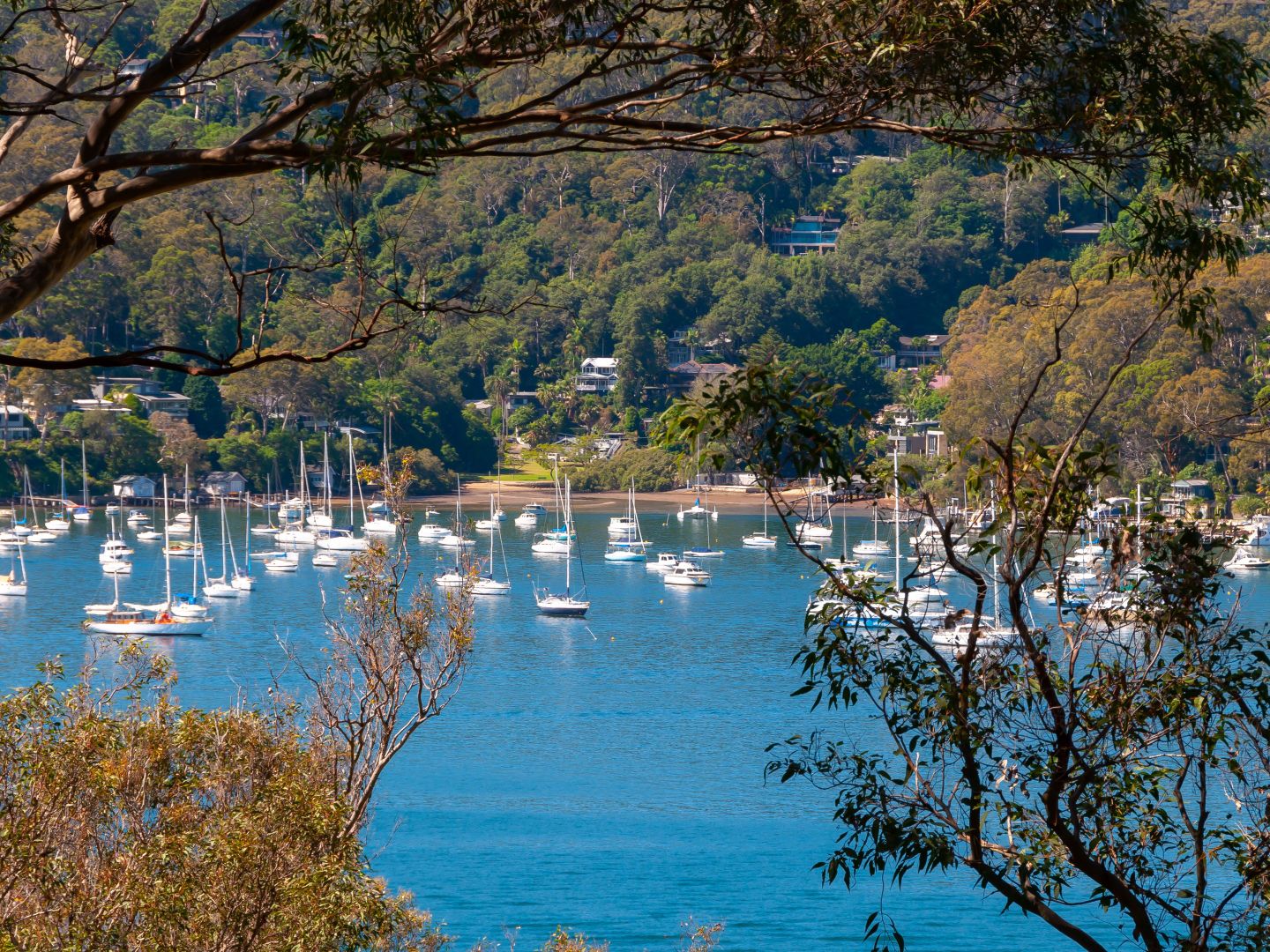 43 Thompson Street, Scotland Island NSW 2105 Domain