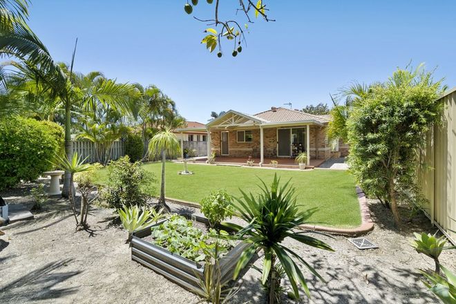 44 Swanton Drive Mudgeeraba 4213 - Image 3