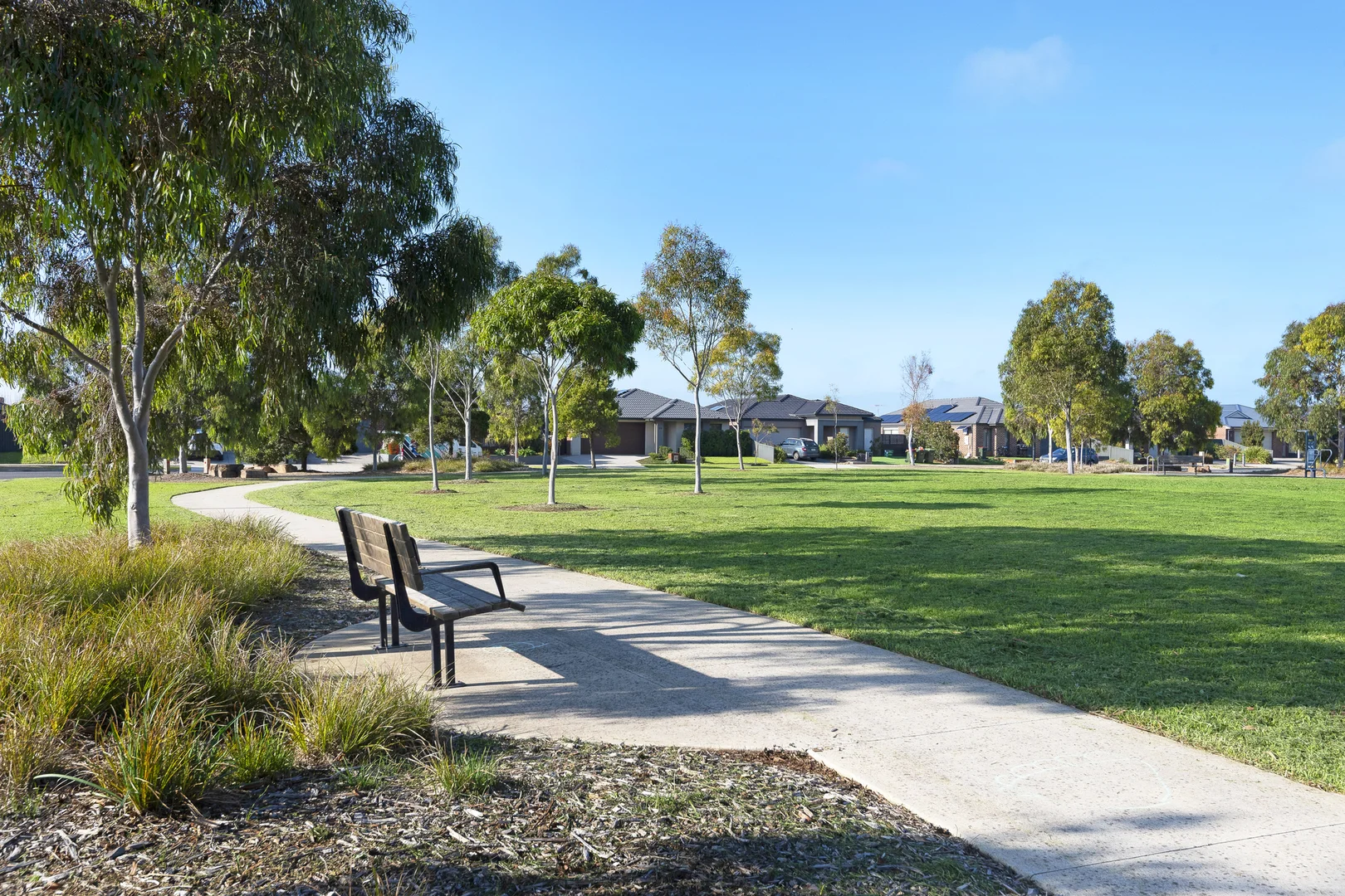 Image 14
